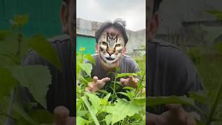 Kucing Minta Susu#shotrs #2183#