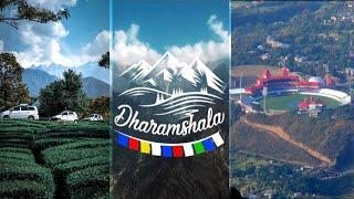 Dharamshala Himachal Pradesh ️|Tour Of Cricket Stadium & Tea Garden| Dharamshala Tourist Places