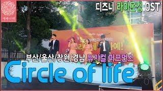 라이온 킹 Circle Of Life 부산/울산/창원뮤지컬축가