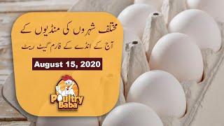 Egg rate today | daily egg | rates in Punjab |  poultry rates | egg business in Pakistan  |  Poultry