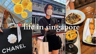 Life in SG | vlogmas, buying a chanel bag, drove for the 1st time, shopping christmas gifts! [VLOG]