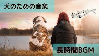 犬専用【長時間BGM】犬がリラックスする音楽　Relaxing music for dogs