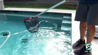 Maintain your pool with these simple tips from Manning Pool Service | HOUSTON LIFE | KPRC 2