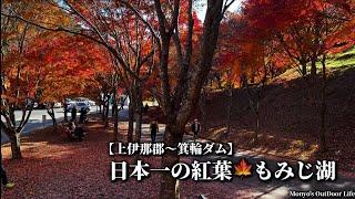 【南信州〜箕輪ダム】日本一の紅葉もみじ湖