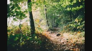 BBC Radio 2 - Lost Boy: In Search Of Nick Drake