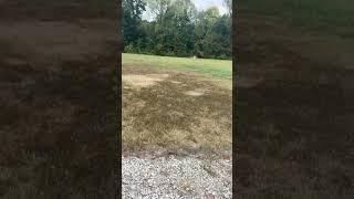 GLOCK 43 SMOOTH AS BUTTER ! NO JAMS ! 