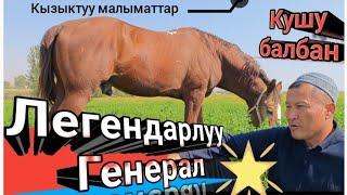 Легендарлуу генерал