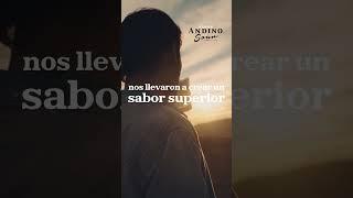 ¿Qué inspira el sabor superior de Andino Sour?  La grandeza de Los Andes 