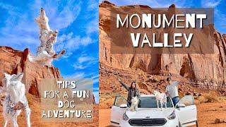 Dog Friendly Road Trip - Ep 8 | Monument Valley Navajo Park