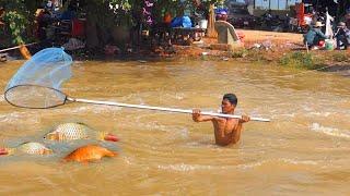 Viral Fishing Video In Flood Season, Best Fishing Skill In Cambodia#P1040895