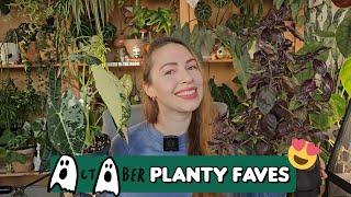 October houseplant favorites 