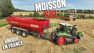  MOISSON XXL en FRANCE FENDT 1167MT & TRANSBORDEUR 52m3 + 2 12M ! 