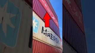 The animal stuck in the container #meme #trending #shorts #shortsfeed