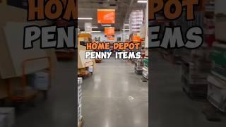 Home Depot Penny Items!! #reseller #hiddenclearance #emoney #deals #sidehustle #homedepot