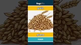  grain - grano : learn English : impariamo l'inglese : vocabulary builder
