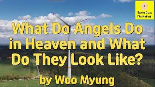 Master Woo Myung - Wisdom’s Answer - What Do Angels Do in Heaven and What Do They Look Like?