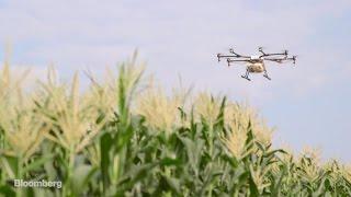 China's Farmers Take to the Sky