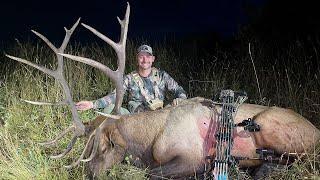 Massive Bull Elk Destroys Wallow and Gets Shot at 10 Yards!