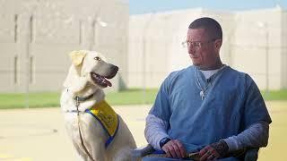 Mission "Pawsible" - Prison Inmates Give Back | Canine Companions #puppy #prison #dogtraining