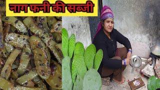 काटें दार कैक्टस की सब्जी || Uttarakhand Village life || village life in uttarakhand