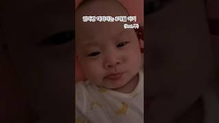 엄마랑 대화하는 8개월 아기 (feat.뿌)