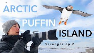 PUFFIN PHOTOGRAPHY in the ARCTIC ⎸ Varanger Expedition ep 2