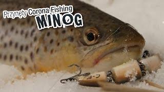 Przynęty Corona Fishing - Wobler łamany na pstrąga - Minog (Wobbler "minog" trout fishing)