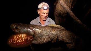 Jeremy Finally Catches A MONSTRUOUS Wolf Fish | WOLF FISH | River Monsters