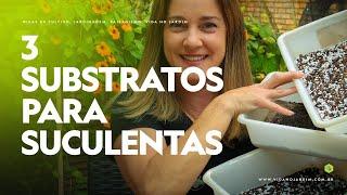 3 SUBSTRATOS para VOCÊ TER SUCESSO no CULTIVO de SUCULENTAS