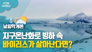 [날씨학개론] 지구온난화로 빙하 속 바이러스가 살아난다면? / YTN 사이언스