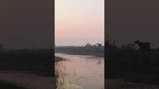 Faizabad Sunset View || #viral # #religion #quran #qudrat