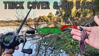 Early Winter Ca Delta Bass Fishing | BIG BAG | Punching Thick Cover