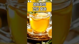 유자차의 건강효과 #건강관리 #건강식품 #건강정보 #꿀팁 #이슈 #지식 #음식