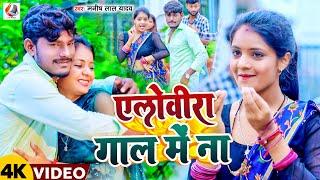 #Video - एलोवीरा गाल में | #Manish lal yadav & #Shweta Sargam का बवाल सॉन्ग#Alobera Gal Me 2024