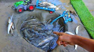 catch fish using mini water pump|fishing exciting@sanocreator