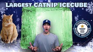 I Made the World's Largest Catnip Ice Cube (40 POUNDS)