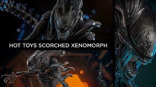 Hot toys Scorched Xenomorph Alien Romulus