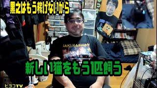 よっさん　新しい猫をもう1匹飼う　2024年11月26日放送