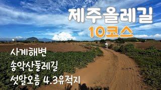 제주 올레길 10코스 | 지금까지 걸은 올레길중 단연코 원탑~~!!