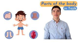 Learn Parts of the Body in Tajik