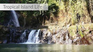 Taman Sari WATERFALL in BALI | Penyampuan Waterfall and more.