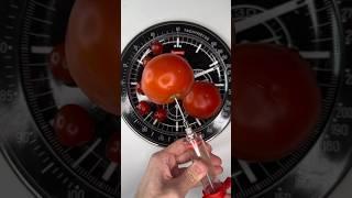 Tomato Hack 