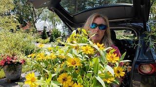 A trunkload of plants to spruce up the circle garden