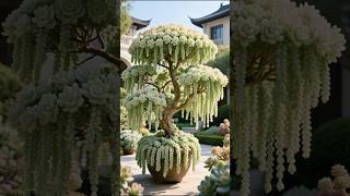 Grow Your Dream Garden: Top Succulent Arrangement Ideas for Beautiful Plants