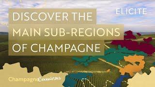 The Sub-Regions Of The Champagne Wine Region In France