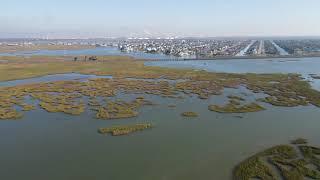 Random Texas Marsh Drone Footage!