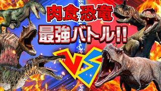 【肉食恐竜たちの戦い！恐竜バトル⑤】強い肉食恐竜はどれかな？！ティラノサウルス,ヴェロキラプトル,カルノタウルス,スピノサウルス,ギガノトサウルス,ケラトサウルス