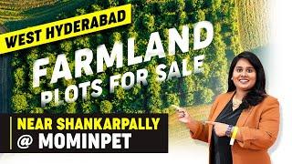 WEST HYDERABAD REAL ESTATE | Invest in Shankarpally, Mominpet | Farmland For Sale | Land Investment