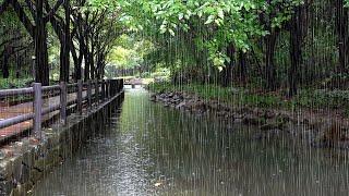 A stream that makes the pleasant Rain sound. White noise helps with sleep, stress reduction effect