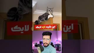 اگه یه گلوله به سنگ شلیک کنید چه اتفاقی می افته